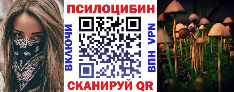 Псилоцибиновые грибы Cubensis закладки Пестово